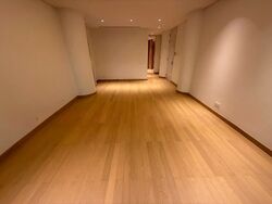 The Colonnade (D10), Condominium #528006271